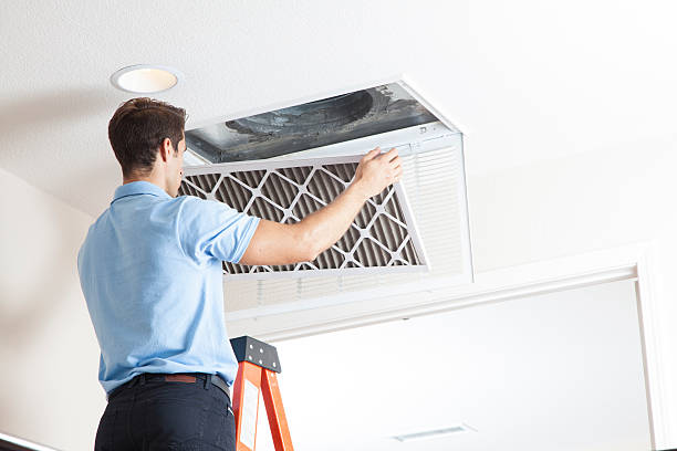 Best HVAC Air Duct Cleaning  in Suitland, MD