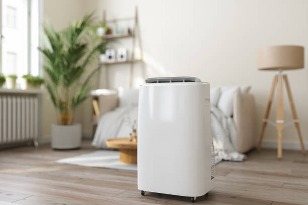 Best HVAC Tune-Up Services  in Suitland, MD